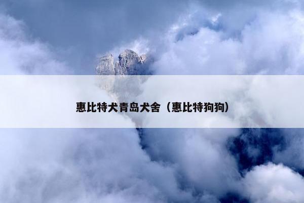 惠比特犬青岛犬舍（惠比特狗狗）