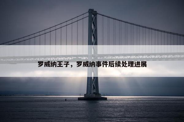 罗威纳王子，罗威纳事件后续处理进展