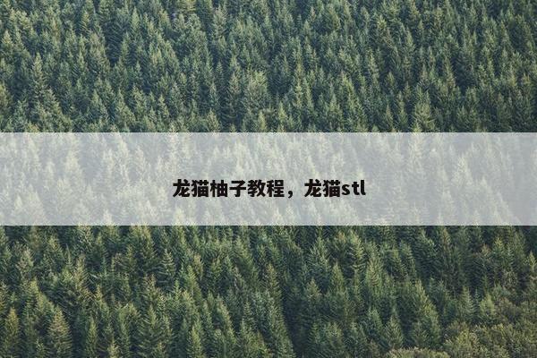 龙猫柚子教程，龙猫stl