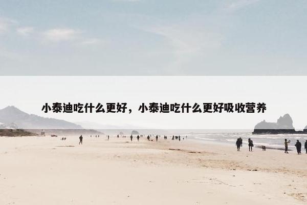 小泰迪吃什么更好，小泰迪吃什么更好吸收营养