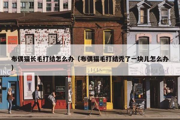 布偶猫长毛打结怎么办（布偶猫毛打结秃了一块儿怎么办）