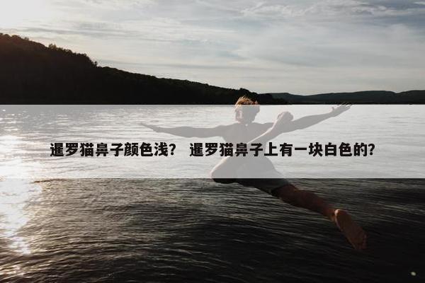暹罗猫鼻子颜色浅? 暹罗猫鼻子上有一块白色的?