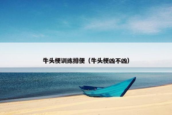 牛头梗训练排便(牛头梗凶不凶)