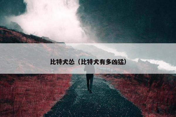 比特犬怂（比特犬有多凶猛）