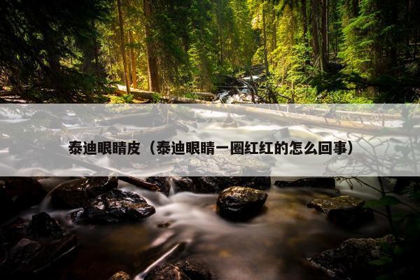 泰迪眼睛皮（泰迪眼睛一圈红红的怎么回事）