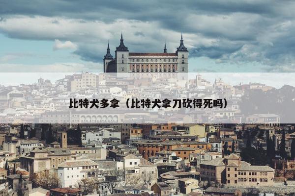 比特犬多拿（比特犬拿刀砍得死吗）