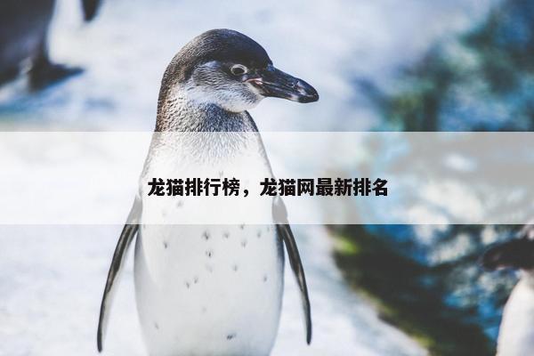 龙猫排行榜，龙猫网最新排名