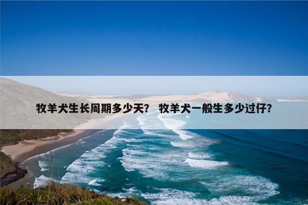 牧羊犬生长周期多少天？ 牧羊犬一般生多少过仔？