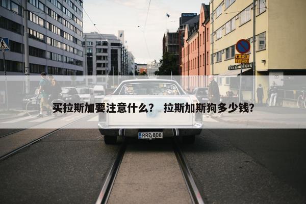 买拉斯加要注意什么？ 拉斯加斯狗多少钱？