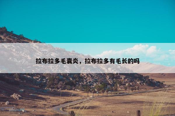 拉布拉多毛囊炎，拉布拉多有毛长的吗