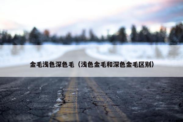 金毛浅色深色毛（浅色金毛和深色金毛区别）