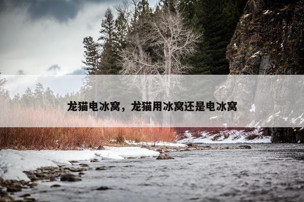 龙猫电冰窝，龙猫用冰窝还是电冰窝