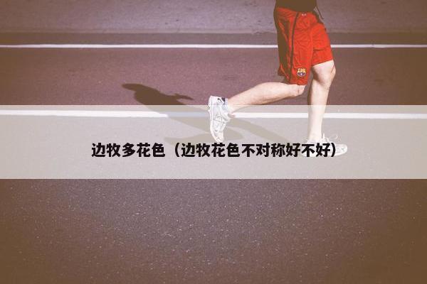 边牧多花色（边牧花色不对称好不好）