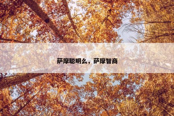 萨摩聪明么，萨摩智商