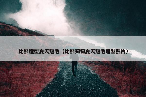 比熊造型夏天短毛（比熊狗狗夏天短毛造型照片）