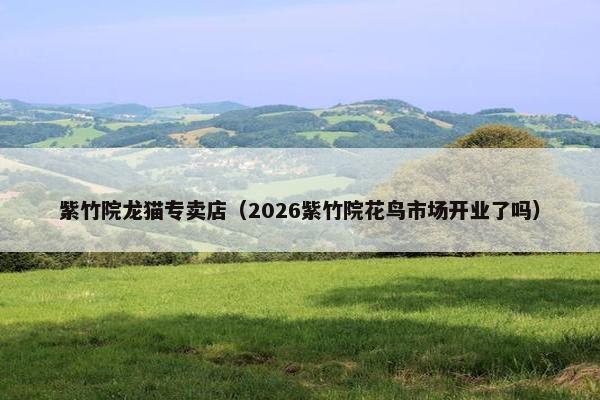 紫竹院龙猫专卖店（2026紫竹院花鸟市场开业了吗）