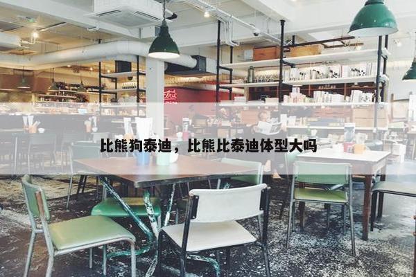 比熊狗泰迪，比熊比泰迪体型大吗