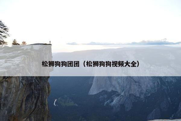松狮狗狗团团（松狮狗狗视频大全）