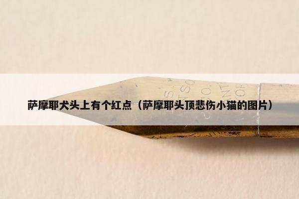 红点