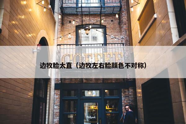 边牧脸太直（边牧左右脸颜色不对称）