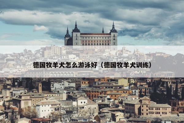 德国牧羊犬怎么游泳好（德国牧羊犬训练）