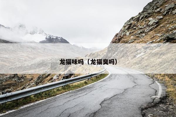 龙猫味吗（龙猫臭吗）