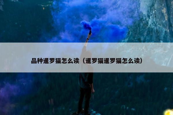 品种暹罗猫怎么读（暹罗猫暹罗猫怎么读）