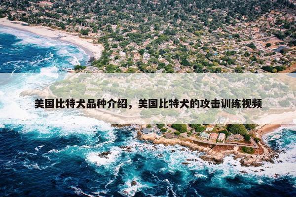 美国比特犬品种介绍，美国比特犬的攻击训练视频