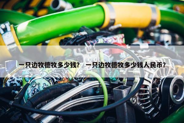 一只边牧德牧多少钱？ 一只边牧德牧多少钱人民币？
