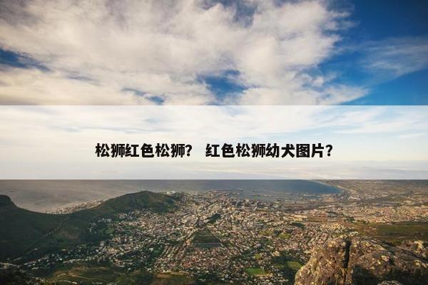 松狮红色松狮？ 红色松狮幼犬图片？
