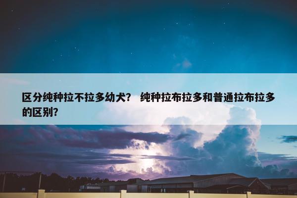 区分纯种拉不拉多幼犬？ 纯种拉布拉多和普通拉布拉多的区别？