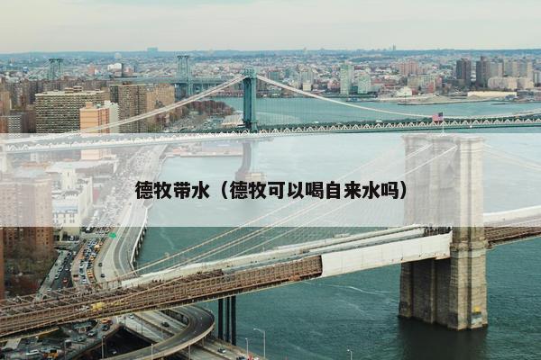 德牧带水(德牧可以喝自来水吗)