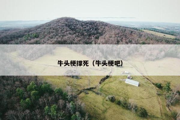 牛头梗撑死(牛头梗吧)