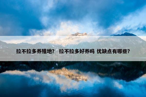 拉不拉多养殖地？ 拉不拉多好养吗 优缺点有哪些？