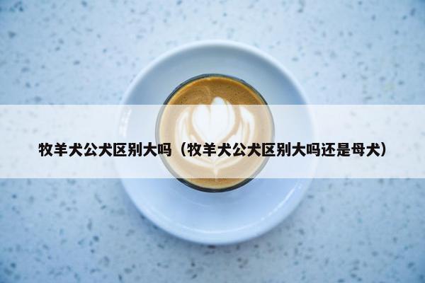 牧羊犬公犬区别大吗（牧羊犬公犬区别大吗还是母犬）