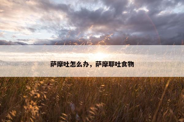 萨摩吐怎么办,萨摩耶吐食物