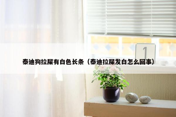 泰迪狗拉屎有白色长条（泰迪拉屎发白怎么回事）