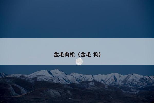 金毛肉松（金毛 狗）