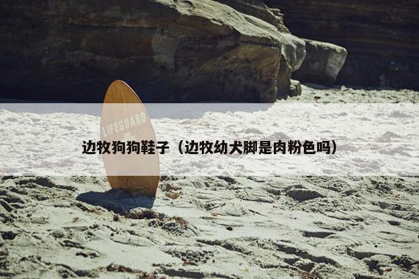 边牧狗狗鞋子（边牧幼犬脚是肉粉色吗）
