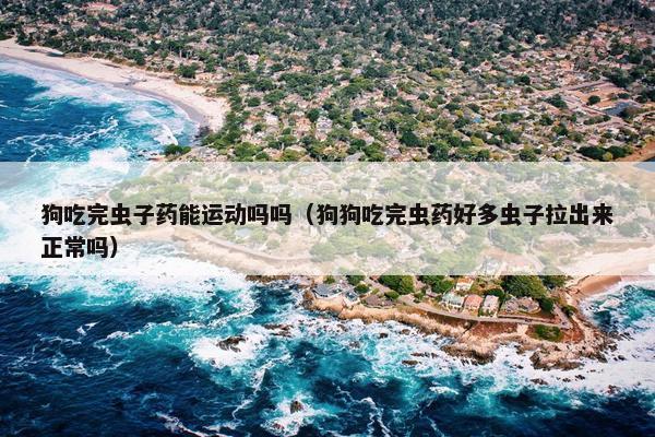 狗吃完虫子药能运动吗吗（狗狗吃完虫药好多虫子拉出来正常吗）