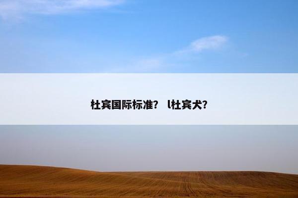 杜宾国际标准？ l杜宾犬？