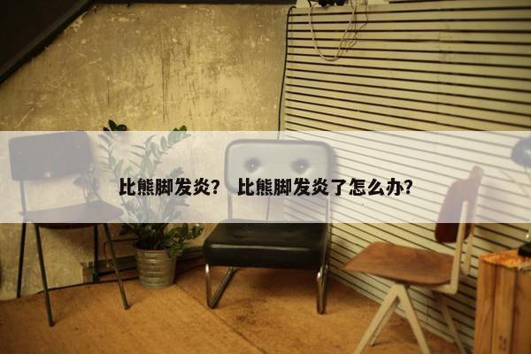 比熊脚发炎？ 比熊脚发炎了怎么办？