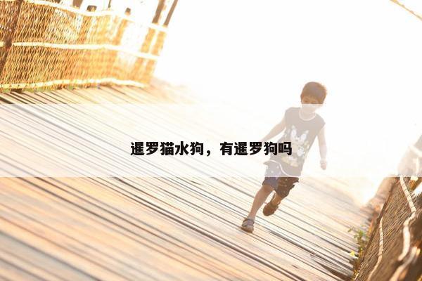 暹罗猫水狗，有暹罗狗吗