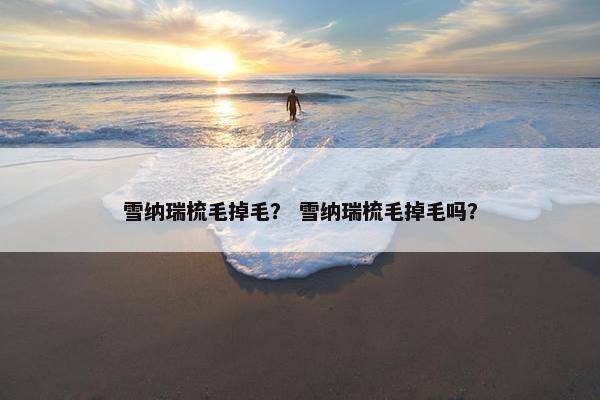雪纳瑞梳毛掉毛？ 雪纳瑞梳毛掉毛吗？