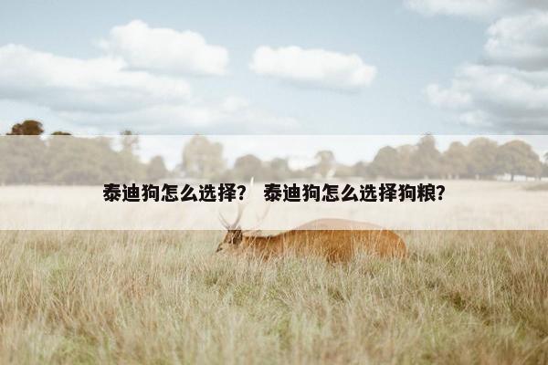 泰迪狗怎么选择？ 泰迪狗怎么选择狗粮？