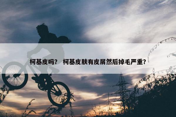 柯基皮吗？ 柯基皮肤有皮屑然后掉毛严重？