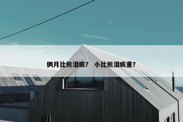 俩月比熊泪痕？ 小比熊泪痕重？