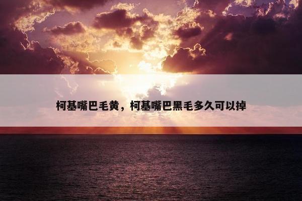 柯基嘴巴毛黄，柯基嘴巴黑毛多久可以掉