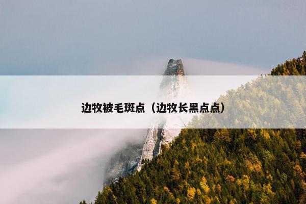 边牧被毛斑点（边牧长黑点点）