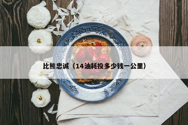 比熊忠诚（14油耗投多少钱一公里）
